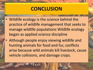 CONCLUSION
• Wildlife ecology is the science behind the
practice of wildlife management that seeks to
manage wildlife populations Wildlife ecology
began as applied science discipline
• Although people enjoy viewing wildlife and
hunting animals for food and fur, conflicts
arise because wild animals kill livestock, cause
vehicle collisions, and damage crops.
 