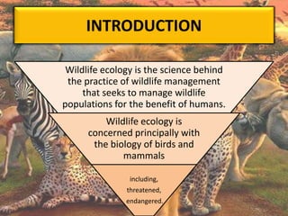 INTRODUCTION
Wildlife ecology is the science behind
the practice of wildlife management
that seeks to manage wildlife
populations for the benefit of humans.
Wildlife ecology is
concerned principally with
the biology of birds and
mammals
including,
threatened,
endangered.
 