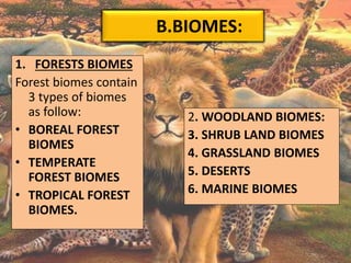 B.BIOMES:
1. FORESTS BIOMES
Forest biomes contain
3 types of biomes
as follow:
• BOREAL FOREST
BIOMES
• TEMPERATE
FOREST BIOMES
• TROPICAL FOREST
BIOMES.
2. WOODLAND BIOMES:
3. SHRUB LAND BIOMES
4. GRASSLAND BIOMES
5. DESERTS
6. MARINE BIOMES
 