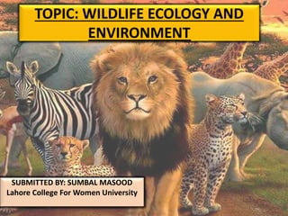 TOPIC: WILDLIFE ECOLOGY AND
ENVIRONMENT
SUBMITTED BY: SUMBAL MASOOD
Lahore College For Women University
 