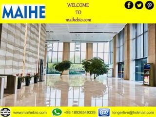 WELCOME
TO
maihebio.com
www.maihebio.com +86 18926549339 longerlive@hotmail.com
 