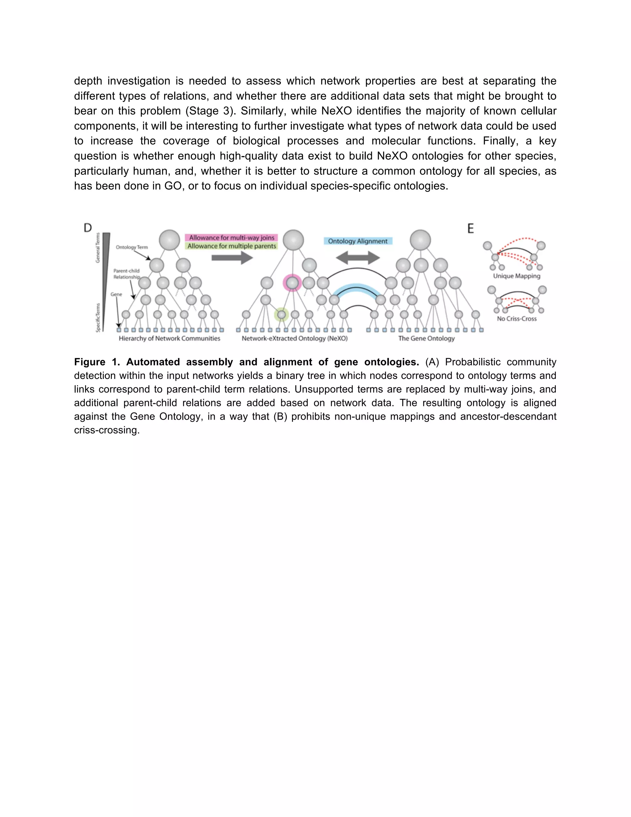 depth investigation is needed to assess which network properties are best at separating the
different types of relations, and whether there are additional data sets that might be brought to
bear on this problem (Stage 3). Similarly, while NeXO identifies the majority of known cellular
components, it will be interesting to further investigate what types of network data could be used
to increase the coverage of biological processes and molecular functions. Finally, a key
question is whether enough high-quality data exist to build NeXO ontologies for other species,
particularly human, and, whether it is better to structure a common ontology for all species, as
has been done in GO, or to focus on individual species-specific ontologies.

Figure 1. Automated assembly and alignment of gene ontologies. (A) Probabilistic community
detection within the input networks yields a binary tree in which nodes correspond to ontology terms and
links correspond to parent-child term relations. Unsupported terms are replaced by multi-way joins, and
additional parent-child relations are added based on network data. The resulting ontology is aligned
against the Gene Ontology, in a way that (B) prohibits non-unique mappings and ancestor-descendant
criss-crossing.

 
