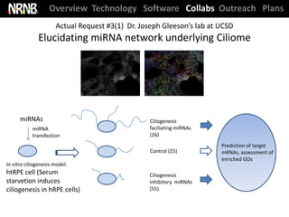 Overview Technology Software Collabs Outreach Plans
                      Actual Request #3(1) Dr. Joseph Gleeson’s lab at UCSD
              Elucidating miRNA network underlying Ciliome




      miRNAs                                      Ciliogenesis
            miRNA                                 faciliating miRNAs
            transfection                          (26)
                                                                       Prediction of target
                                                  Control (25)         mRNAs, assessment of
                                                                       enriched GOs
In vitro ciliogenesis model:
htRPE cell (Serum                                 Ciliogenesis
starvetion induces                                inhibitory miRNAs
ciliogenesis in hRPE cells)                       (55)
 