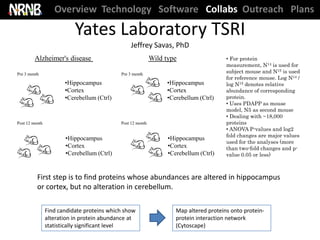 Overview Technology Software Collabs Outreach Plans

                           Yates Laboratory TSRI
                                                Jeffrey Savas, PhD
         Alzheimer's disease                                Wild type                   • For protein
                                                                                        measurement, N14 is used for
Pre 3 month                                 Pre 3 month                                 subject mouse and N15 is used
                                                                                        for reference mouse. Log N14 /
                       •Hippocampus                              •Hippocampus           log N15 denotes relative
                       •Cortex                                   •Cortex                abundance of corresponding
                       •Cerebellum (Ctrl)                        •Cerebellum (Ctrl)     protein.
                                                                                        • Uses PDAPP as mouse
                                                                                        model, N5 as second mouse
                                                                                        • Dealing with ~18,000
Post 12 month                               Post 12 month                               proteins
                                                                                        • ANOVA P-values and log2
                                                                                        fold changes are major values
                       •Hippocampus                               •Hippocampus
                                                                                        used for the analyses (more
                       •Cortex                                    •Cortex               than two-fold changes and p-
                       •Cerebellum (Ctrl)                         •Cerebellum (Ctrl)    value 0.05 or less)



          First step is to find proteins whose abundances are altered in hippocampus
          or cortex, but no alteration in cerebellum.

                Find candidate proteins which show                   Map altered proteins onto protein-
                alteration in protein abundance at                   protein interaction network
                statistically significant level                      (Cytoscape)
 