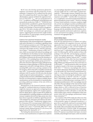 NATURE REVIEWS | NEPHROLOGY 	 ADVANCE ONLINE PUBLICATION  |  11
B6.TC mice also develop spontaneous glomerulo­
nephritis concomitant with the production of auto­
antibodies. Compared to DCs isolated from B6 control
mice, DCs isolated from B6.TC mice have higher T‑cell
allostimulatory capacity and block the suppressive func-
tion of CD4+
CD25+
TREG
 cells via overproduction of
IL‑6,114
in addition to facilitating B‑cell proliferation and
autoantibody production (Table 3).115
NZM2328 mice
also demonstrate a proliferative, gender-biased (female
predilection, as in SLE) glomerulonephritis.116
In this
model, renal histology is characterized by intraglomer­
ular CD11c+
DCs that co-localize with T cells,117
whereas
F4/80+
macrophages are confined to peri-glomerular
regions, suggesting that intrarenal DCs might mediate
the presentation of (auto)antigen, thereby promoting
disease progression (Table 3).
Evidence from preclinical therapeutic studies
Administration of the immunosuppressant cyclophospha-
mide and/or blockade of co-stimulatory signalling (using
CTLA4-Ig fusion proteins or anti-CD40-ligand mono­
clonal antibodies) in NZB/W F1 mice was associated with
a decrease in the number of CD11c+
renal DCs and remis-
sion of lupus.118
Amelioration of disease in MRL‑Faslpr/lpr
mice, which was associated with reduced macrophage and
T‑cell infiltration into the kidney, has been demonstrated
using a p38 mitogen-activated protein kinase inhibitor;119
p38-inhibitor treatment also decreased the abundance of
renal CD11c+
DCs, including those with a mature pheno­
type that expressed high-mobility group protein B1.120
pDCs have also been implicated in lupus pathogenesis by
amelioration of lupus pathology in NZB mice genetically
engineered to lack pDCs through del­etion of the gene
encoding IRF8, and in mice carrying a mutation in the
Slc15a4 gene, which retain pDCs ­incapable of producing
type I IFN.121
In perinuclear antineutrophil cytoplasmic
antibody (ANCA)-positive SCG/Kj mice that develop
rapidly progressive glomerulo­nephritis,122
a novel tri­
azolopyrimidine derivative (NK026680) that inhibits DC
function was demonstrated to suppress multiple disease
manifestations and the development of autoanti­bodies,
providing additional evidence of the role of DCs in
glomerulonephritis.123
Manipulation of the humoral immune response
through DC‑mediated induction of immune tolerance
might also represent an approach to mitigating disease
in glomerulonephritis. Ligation of Fc receptors (particu-
larly low affinity IgG Fc region receptor IIb [FcγRIIb]) by
immunoglobulins, including endogenous antibodies and
immune complexes derived from lupus-prone mice, have
been shown to provide an inhibitory signal that prevents
TLR-mediated DC maturation and enhances the tolero-
genicity of this cell type.124
Furthermore, adoptive trans-
fer of immature DCs overexpressing FcγRIIb before or
after the onset of clinical lupus attenuated lupus nephritis
in MRL‑Faslpr/lpr
mice.124
Conversely, MRL‑Faslpr/lpr
mice
lacking FcγRIIb displayed greater B‑cell activity and
higher levels of DC‑derived IL‑12.125
The finding that administration of C‑reactive protein
reverses renal manifestations of nephrotoxic nephritis
in a macrophage-dependent manner suggests that this
cell type might also be a valid target in glomerulo­
nephritis.126
Interestingly, immune complexes have also
been shown to suppress macrophage inflammatory
responses via FcγRIIb,127
and this effect was protective
in a cryoglobulin-­associated membranoproliferative
glomerulonephritis mouse model.128
However, binding
of tissue-bound antibody or immune complexes might
also activate macrophages to produce proinflammatory
mediators via activation of various signal transduction
pathways, including spleen tyrosine kinase (SYK). In
keeping with this possibility, the SYK inhibitor fosta­
matinib markedly ameliorated nephrotoxic nephritis
in rats and limited macrophage activation following
­treatment with ­aggregated IgG.129
Acute kidney injury
IRI and cisplatin-induced kidney injury
Both IRI and administration of cisplatin can induce
tubular epithelial cell coagulative necrosis, and both
approaches have been used to study the role of renal
DCs and macrophages in AKI. CD11blow
F4/80high
DC
and CD11bhigh
F4/80low
macrophages (both differenti-
ated from Ly6Chigh
infiltrating cells) could be identified
early (3 h) following IRI, with the numbers of these cells
peaking at 24 h after IRI, and developing a predomi-
nantly macrophage phenotype.56
Although ablation
of DCs exacerbates cisplatin-induced AKI,130
a similar
DC‑mediated protective effect has been disputed in
models of IRI (Table 4).72,131
On the other hand, macro­
phage ablation provided protection from renal injury in
an IRI model,132–134
and this protective effect was reversed
by adoptive transfer of the mouse macrophage cell line,
RAW 264.7.75,133
However, macrophages also seem to
have distinct phenotypes depending on time post-injury
in an IRI model: M1 characteristics predominated ini-
tially (1–3 days following reperfusion); whereas M2
skewing was observed during the proliferative repair
phase (dependent on Wnt7b62
and CSF‑1135
produc-
tion).60
Interestingly, adoptive-transfer and cell-tracking
experiments revealed phenotype switching of IFN‑γ-
stimulated proinflammatory (M1) macro­phages injected
after IRI to M2 macrophages at the onset of tissue repair
in the kidney.60
The relevance of each of these macro­
phage subsets to AKI is reflected in loss-of-function
experiments, which demonstrated that clodronate-­
induced depletion of (M1) cells before or early after IRI
reduces kidney injury, whereas cell depletion at later time
points (when M2 macrophages predominate) delays
tissue restoration.60,136
In a variation of the DTR models described, mice that
selectively express the human DTR under the control
of the promoter region of γ glutamyl transferase 1, a
gene that is specifically expressed in proximal tubule
cells, develop AKI in response to injection of DT.135
In
this model, AKI is associated with renal infiltration of a
CD11b+
F4/80+
CD11c+
CX3CR1+
CD86+
DC/macrophage
cell type,135
and administration of liposomal clodronate
before DT exposure exacerbated renal injury, increased
mortality, and prolonged renal repair, as did concomitant
REVIEWS
© 2014 Macmillan Publishers Limited. All rights reserved
 