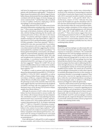 NATURE REVIEWS | NEPHROLOGY 	 ADVANCE ONLINE PUBLICATION  |  15
risk factor for progression to end-stage renal disease in
patients with membranous nephropathy.182
Evaluation of
biopsy tissues from patients with a diverse range of chronic
kidney diseases demonstrated that macrophage infiltration
correlated with both the degree of chronic damage and
serum creatinine levels,183
and that these cells co-localized
to areas of capillary rarefaction, implicating a role for
­macrophages in microvasculature injury.184
Early studies detected CD1b+
DCs within areas of active
interstitial inflammation and glomerular crescent forma-
tion.185
Observations regarding DC infiltration have also
been made in the kidneys of patients with IgA nephrop-
athy, with the findings indicating that the number and
anatomical location of these cells alters in the disease
setting.169
In patients with lupus nephritis, increased
numbers of putative cDC that express BDCA‑1, BDCA‑3
(also known as CD141 and thymomodulin), and BDCA‑4
(CD304; neuropilin‑1) have been reported.186
BDCA‑1+
myeloid DCs were also associated with C1q in kidney
tissues from patients with severe lupus nephritis, with
concordant animal model data suggesting that intrinsic
renal myeloid DCs contribute to local C1q synthesis.110
In
human glomerulonephritis, mononuclear-cell subtypes
might be compartmentally separated, with tubulointer-
stitial cell accumulation of CD68+
DC‑SIGN+
DCs cells
and intraglomerular localization of CD68+
DC‑SIGN−
macro­phages. A correlation between the number of
tubulo­interstitial DCs and degree of renal injury has
also been suggested.187
Mature DC‑LAMP+
DCs are not
present in healthy kidneys but are evident at low numbers
in the kidneys of patients with renal disease, including
lupus nephritis.169,188
In addition, a study in patients with chronic kidney
disease has demonstrated increased BDCA‑3high
CLEC9A+
and BDCA‑1+
CD1a−
DC‑SIGN−
myeloid DCs, as well as
pDCs, in human kidney biopsy samples with histologi-
cal evidence of fibrosis, compared with biopsy samples
without fibrosis or healthy tissue samples.189
The myeloid
DC phenotype of some of the renal DCs observed in this
study suggests that they were derived from the peripheral
circulation, and these cells were implicated as the pre-
dominant source of the elevated TGF‑β levels in biopsy
samples from fibrotic kidneys.189
Although the presence of pDC within the diseased
kidney has been demonstrated in mouse models, the
role of these cells in human disease has been disputed.
The contribution of pDC to renal pathology has been
demonstrated most consistently in lupus nephritis,
where secretion of IL‑18 by resident glomerular cells is
a potent chemoattractant for IL‑18-receptor-expressing
pDC.190,191
BDCA‑2+
ChemR23 (Chemokine receptor-
like 1)+
pDC have been demonstrated to be present in the
kidney in the context of severe lupus nephritis.186
pDC
are also reported to be evident in increased numbers in
kidney transplants with delayed graft function, com-
pared with the setting of nephrotoxicity associated
with calcineurin inhibitors, in which the myeloid DCs
are preponderant.192
Cross-talk between T cells and DCs is well-recognized
in mouse models, and evidence from human kidney
samples suggests that a similar inter-relationship is
involved in the initiation of immunological responses
in the kidney. In particular, biopsy tissues from patients
with ANCA-associated vasculitis revealed a close prox-
imity between CD3+
T cells and DC‑SIGN+
DCs.193
Further­more, clusters of CD21+
follicular DCs that
express the B‑lymphocyte-specific chemokine CXCL13
have also been demonstrated in tertiary lymphoid struc-
tures that develop within the renal parenchyma follow-
ing chronic antigen stimulation (in the setting of renal
allografts),194
and neolymphangiogenesis with admixed
CD4+
T cells, CD8+
T cells, CD20+
B cells, S‑100+
cDCs
and pDCs.195
These observations suggest that intra­
renal antigen presentation by DCs to T cells and B cells
promotes chronic, immune-cell-mediated inflamma-
tory responses in various kidney diseases; thus, renal
DCs (and/or macrophages) probably have key roles in
­mediating kidney disease.
Conclusions
Renal DCs and macrophages are phenotypically and
functionally heterogeneous cells that regulate tissue
responses to renal injury and disease. The considerable
overlap between DCs and macrophages represents a con-
tinuum of phenotype, as well as plasticity of cells of the
myeloid–monocytic lineage both in vivo and in vitro. Our
knowledge of renal DC and macrophage function lags
behind that described for these cell types in other organs;
however, progress has been made in addressing this limi-
tation through advances in cell isolation, identification,
in vivo propagation and the use of innovative genetically-
modified mouse models. The central role of renal DCs
and macrophages in homeostasis, as well as their capacity
to modulate physiological function to drive immune or
nonimmune disorders, is increasingly recognized. These
cells provide a reservoir for ongoing immunosurveil-
lance within the renal tubulointerstitium extending to
the draining lymph nodes, in addition to affording an
immune privileged site within the glomerulus.
Extensive small-animal work has provided an impor-
tant basis for increased phenotypic and functional
understanding; however, a consensus regarding precise
cell identification and extrapolation to human kidney
disease is lacking, providing avenues for future research.
Importantly, after several decades of research the ques-
tion of whether renal DCs and macrophages constitute
sufficiently specific targets for therapeutic intervention
to potentially ameliorate kidney disease progression
remains, necessitating further study.
Review criteria
A search for original, peer-reviewed articles was
performed in MEDLINE and PubMed in November 2013
and again in February 2014. The search terms used,
alone and in combination, were “kidney”, “dendritic
cells”, “macrophages”, “glomerulonephritis”, “acute
kidney injury”, “lupus”, “fibrosis” and “transplantation”.
All articles identified were English-language, full-text
papers. The reference lists of the identified articles were
searched for further relevant papers.
REVIEWS
© 2014 Macmillan Publishers Limited. All rights reserved
 