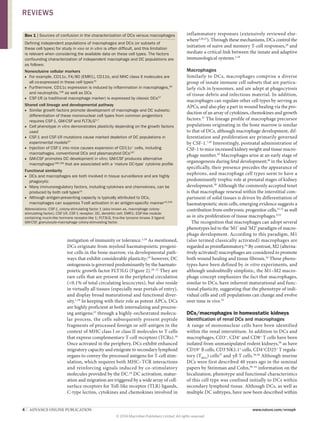 4  |  ADVANCE ONLINE PUBLICATION www.nature.com/nrneph
instigation of immunity or tolerance.1,18
As mentioned,
DCs originate from myeloid haematopoietic progeni-
tor cells in the bone marrow, via developmental path-
ways that exhibit considerable plasticity;19
however, DC
ontogenesis is governed predominantly by the haemato­
poietic growth factor FLT3LG (Figure 2).20–22
They are
rare cells that are present in the peripheral circulation
(0.1% of total circulating leucocytes), but also reside
in virtually all tissues (especially near portals of entry),
and display broad maturational and functional diver-
sity.1,18
In keeping with their role as potent APCs, DCs
are highly proficient at both internalizing and process-
ing antigens;23
through a highly-orchestrated molecu-
lar process, the cells sub­sequently present peptide
fragments of processed foreign or self-antigen in the
context of MHC class I or class II molecules to T cells
that express complementary T‑cell receptors (TCRs).18
Once activated in the periphery, DCs exhibit enhanced
migratory capacity and emigrate to secondary lymphoid
organs to convey the processed antigens for T‑cell stim-
ulation, which requires both MHC–TCR inter­actions
and reinforcing signals induced by co-stimulatory
molecules provided by the DC.24
DC activation, matur­
ation and migration are triggered by a wide array of cell-
surface receptors for Toll-like receptor (TLR) ligands,
C‑type lectins, cytokines and chemokines involved in
inflammatory responses (extensively reviewed else-
where3,20,25
). Through these mechanisms, DCs control the
initiation of naive and memory T‑cell responses,26
and
mediate a critical link between the innate and a­daptive
immunological systems.1,18
Macrophages
Similarly to DCs, macrophages comprise a diverse
group of innate immune cell subsets that are particu-
larly rich in lysosomes, and are adept at phagocytosis
of tissue debris and infectious material. In addition,
macrophages can regulate other cell types by serving as
APCs, and also play a part in wound healing via the pro-
duction of an array of cytokines, chemokines and growth
factors.27
The lineage profile of macrophage precursor
populations originating in the bone marrow is similar
to that of DCs, although macrophage development, dif-
ferentiation and proliferation are primarily governed
by CSF‑1.7,28
Interestingly, postnatal administration of
CSF‑1 to mice increased kidney weight and tissue macro­
phage number.29
Macrophages arise at an early stage of
organogenesis during fetal development;30
in the kidney
specifically, their presence precedes the appearance of
nephrons, and macrophage cell types seem to have a
predominantly trophic role at prenatal stages of kidney
development.30
Although the commonly accepted tenet
is that macrophage renewal within the interstitial com-
partment of solid tissues is driven by differentiation of
haematopoietic stem cells, emerging evidence suggests a
contribution from embryonic progenitor cells,31,32
as well
as in situ proliferation of tissue macrophages.9,33
The recognition that macrophages can adopt several
phenotypes led to the ‘M1’ and ‘M2’ paradigm of macro­
phage development. According to this paradigm, M1
(also termed classically activated) macrophages are
regarded as proinflammatory.34
By contrast, M2 (alterna-
tively activated) macrophages are considered to promote
both wound healing and tissue fibrosis.34
These pheno-
types have been defined by in vitro experiments, and
although undoubtedly simplistic, the M1–M2 macro­
phage concept emphasizes the fact that macrophages,
similar to DCs, have inherent maturational and func-
tional plasti­city, suggesting that the phenotype of indi-
vidual cells and cell populations can change and evolve
over time in vivo.35
DCs/macrophages in homeostatic kidneys
Identification of renal DCs and macrophages
A range of mononuclear cells have been identified
within the renal interstitium. In addition to DCs and
macrophages, CD3+
, CD4+
and CD8+
T cells have been
isolated from unmanipulated rodent kidneys,36
as have
CD19+
B cells, CD3-
NK1.1+
cells, CD4+
CD25+
T regula-
tory (TREG
) cells37
and γδ T cells.36,38
Although murine
DCs were first described 40 years ago in the seminal
papers by Steinman and Cohn,39–41
information on the
localization, phenotype and functional characteristics
of this cell type was confined initially to DCs within
secondary lymphoid tissue. Although DCs, as well as
multiple DC subtypes, have now been described within
Box 1 | Sources of confusion in the characterization of DCs versus macrophages
Defining independent populations of macrophages and DCs (or subsets of
these cell types) for study in vivo or in vitro is often difficult, and this limitation
is relevant when considering the available data on these cell types. The factors
confounding characterization of independent macrophage and DC populations are
as follows:
Nonexclusive cellular markers
■■ For example, CD11c, F4/80 (EMR1), CD11b, and MHC class II molecules are
all co-expressed in these cell types15
■■ Furthermore, CD11c expression is induced by inflammation in macrophages,60
and neutrophils,196
as well as DCs
■■ CSF‑1R (a traditional macrophage marker) is expressed by classic DCs57
Shared cell lineage and developmental pathway
■■ Similar growth factors promote development of macrophage and DC subsets;
differentiation of these mononuclear cell types from common progenitors
requires CSF‑1, GM‑CSF and FLT3LG5,7
■■ Cell phenotype in vitro demonstrates plasticity depending on the growth factors
used
■■ CSF‑1 and CSF‑1R mutations cause marked depletion of DC populations in
experimental models57
■■ Injection of CSF‑1 into mice causes expansion of CD11c+
cells, including
macrophages, conventional DCs and plasmacytoid DCs197
■■ GM‑CSF promotes DC development in vitro; GM‑CSF produces alternative
macrophages198,199
that are associated with a ‘mature DC‑type’ cytokine profile
Functional similarity
■■ DCs and macrophages are both involved in tissue surveillance and are highly
phagocytic
■■ Many immunoregulatory factors, including cytokines and chemokines, can be
produced by both cell types15
■■ Although antigen-presenting capacity is typically attributed to DCs,
macrophages can suppress T‑cell activation in an antigen-specific manner15,200
Abbreviations: CSF‑1, colony-stimulating factor 1 (also known as, macrophage colony-
stimulating factor); CSF‑1R, CSF‑1 receptor; DC, dendritic cell; EMR1; EGF-like module-
containing mucin-like hormone receptor-like 1; FLT3LG, fms-like tyrosine kinase 3 ligand;
GM‑CSF, granulocyte-macrophage colony-stimulating factor.
REVIEWS
© 2014 Macmillan Publishers Limited. All rights reserved
 