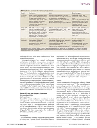 NATURE REVIEWS | NEPHROLOGY 	 ADVANCE ONLINE PUBLICATION  |  7
depletion of CD11c+
cells; or any combination of these
potential  mechanisms.
Although investigators have typically used a single
cell-ablation method, the concurrent use of multiple
strat­egies can also be informative. For example, admin-
istration of liposomal clodronate to CD11b–DTR mice
(in the absence of DT) markedly protected against renal
ischaemia–­reperfusion injury (IRI), whereas admin-
istration of DT to CD11b–DTR mice had no effect on
injury.72,73
Intriguingly, the combined administration
of both liposomal clodronate and DT provided no pro-
tection, indicating that the addition of DT removes the
protective effect of the liposomal clodronate.73
These
data suggest that the phenotype of the surviving resid-
ual cells in the kidneys of liposomal-clodronate-treated
mice, predominantly identified as CD206+
macrophages
and CD11c+
cells,73
might be key to the protective effect
observed. These potential caveats and complexities should
be borne in mind when cell-ablation models are used.
Renal DC and macrophage functions
Intrarenal activities
Cell recruitment
Renal DCs seem to mediate the recruitment of other
cell types with various immunological functions. In a
mouse model of pyelonephritis caused by Escherichia
coli, CD11c+
renal DCs are the predominant producers
of CXC chemokine ligand 2 (CXCL2), which drives the
recruitment of neutrophils to facilitate bacterial clearance
(Figure 3);74
this effect was abrogated after ­conditional
DC ablation in CD11c–DTR mice.74
Renal repair
The progression of disease in many experimental models
of kidney injury, such as chronic allograft and diabetic
nephropathy, can be limited through various interven-
tions, but these do not typically lead to renal regeneration.
Renal regeneration does occur, however, following mod-
erate AKI induced by renal IRI, and this setting has been
used to explore the role of macrophages in renal repair; in
particular, depletion of macrophages using either liposo-
mal clodronate75
or DT treatment of CD11b–DTR mice62
during the reparative phase of IRI-induced AKI markedly
retarded restoration of tubular integrity and renal func-
tion. Macrophage-derived Wnt7B and IL‑22 (induced
via TLR4) have been implicated as key mediators of renal
repair and tubular regeneration in this context.62,76
Fibrosis
Fibrosis is associated with progression of kidney disease
to chronic renal impairment.61,77
That macrophages can
promote the production of extracellular matrix by myo­
fibroblasts and, therefore, scar formation by adopting a
‘wound healing’ M2 phenotype during inflammation is
well established (Figure 4); in the kidney, this pathway
is likely to be detrimental and, in AKI, might occur in
conjunction with other profibrotic processes, such as
epithelial cell-cycle arrest.78
Indeed, macrophages have
been implicated in the development of renal fibrosis, as
administration of liposomal clodronate was found to
be protective in the rodent unilateral ureteral obstruc-
tion (UUO) model.79,80
Interestingly, reduced fibrosis
was demonstrated in DT‑treated CD11b–DTR mice
with UUO.9,81
In contrast, ablation of CD11c+
cells in
CD11c–DTR mice with UUO did not reduce renal scar-
ring,82,83
despite the fact that increases in the maturation,
activation and antigen-presenting capacity of renal DCs
were reported in this setting.83
Studies involving the use
of bone-marrow-chimeric CD11b–DTR mice, in which
either resident renal DCs and macrophages or infiltrating
Table 2 | Rodent models of DC and macrophage ablation
Model Mechanism Utility Disadvantages
CD11c–DTR
mouse17
Simian DTR–eGFP-encoding fusion
gene inserted after the promoter of
the Itgax gene encoding CD11c;
administration of DT results in the
death of cells with active Itgax-
promoter-dependent gene
expression (that is, cell types that
are usually CD11c+
)
Short-term (48 h) ablation of 85–90%
conventional DCs in vivo, with preservation
of plasmacytoid DC compartment;203
cytotoxic T cells17
and NK cells204
were
affected to a lesser extent
B cells and macrophages were unaffected
Depleted all CD11c+
DCs
systemically, including F4/80+
cells16
Late (72 h) neutrophilia,205
which
could potentially mask the DC/
macrophage-dependent effects
Repeated systemic
administration of DT is lethal
CD11b–DTR
mouse16,206
DTR–eGFP encoding fusion gene
inserted after the promoter of the
Itgam gene encoding CD11b; DT
administration causes the death of
cells with active Itgam-promoter-
dependent gene expression (that is,
cell types that are usually CD11b+
)
CD11b+
cells predominantly affected
(also expressing F4/80);206
CD3+
T cells,
B cells, and neutrophils were not
affected73,206
Depletes 90% of CD11b+
cells
(Ly6G−
CCR2−
CX3CR1+
and
Ly6G+
CCR2+
CX3CR1−
)
systemically at 24 h after DT
administration; counts were still
low at 48 h73
Liposomal
clodronate71
Liposomes phagocytosed by
macrophages, followed by
intracellular clodronate
accumulation, which causes cell
death by apoptosis70
Depletes phagocytic cells; total
macrophage population (Ly6G+
and Ly6G−
)
decreased by 75% after 24 h73
Ly6G+
cells recover to higher than
pretreatment levels73
The CD11c+
cell population is preserved73
All cells with substantial
phagocytic capacity are
potentially affected
Clodronate leakage from dead
or dying cells might affect
inflammatory reactions69
Abbreviations: CCR2, CC chemokine receptor 2; CX3CR1, CX3C chemokine receptor 1; DC, dendritic cell; DT; diphtheria toxin; DTR, diphtheria toxin receptor
(also known as heparin-binding EGF-like growth factor); eGFP, enhanced green fluorescent protein; Ly6G, lymphocyte antigen 6G (also known as granulocyte-
differentiation antigen‑1); NK, natural killer.
REVIEWS
© 2014 Macmillan Publishers Limited. All rights reserved
 