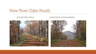 New River Oaks Roads
LETS GO FOR A WALK WIDE GENTLY SLOPING ROADS
 