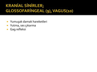    Yumuşak damak hareketleri
   Yutma, ses çıkarma
   Gag refleksi
 