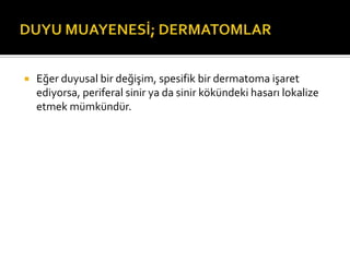    Eğer duyusal bir değişim, spesifik bir dermatoma işaret
    ediyorsa, periferal sinir ya da sinir kökündeki hasarı lokalize
    etmek mümkündür.
 