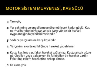 5: Tam güç
4: Yer çekimine ve engellemeye direnebilecek kadar güçlü. Kas
   normal hareketini yapar, ancak karşı yönde bir kuvvet
   uygulandığında yenilebilmektedir.
3: Sadece yerçekimine karşı koyabilir
2: Yerçekimi ekarte edildiğinde hareket yapabilme
1: Kasta kasılma var, fakat hareket sağlamaz. Kasta ancak gözle
   görülebilen veya palpasyon ile farkedilen bir hareket vardır.
   Fakat bu, eklem hareketine sebep olmaz.
0: Kasılma yok
 