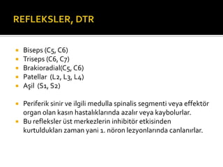    Biseps (C5, C6)
   Triseps (C6, C7)
   Brakioradial(C5, C6)
   Patellar (L2, L3, L4)
   Aşil (S1, S2)

   Periferik sinir ve ilgili medulla spinalis segmenti veya effektör
    organ olan kasın hastalıklarında azalır veya kaybolurlar.
   Bu refleksler üst merkezlerin inhibitör etkisinden
    kurtuldukları zaman yani 1. nöron lezyonlarında canlanırlar.
 