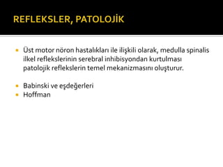    Üst motor nöron hastalıkları ile ilişkili olarak, medulla spinalis
    ilkel reflekslerinin serebral inhibisyondan kurtulması
    patolojik reflekslerin temel mekanizmasını oluşturur.

   Babinski ve eşdeğerleri
   Hoffman
 