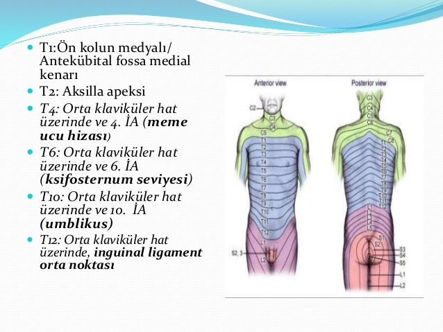 Kas Arasi Cizgiden Nasil Kurtulursunuz Defne Erkara