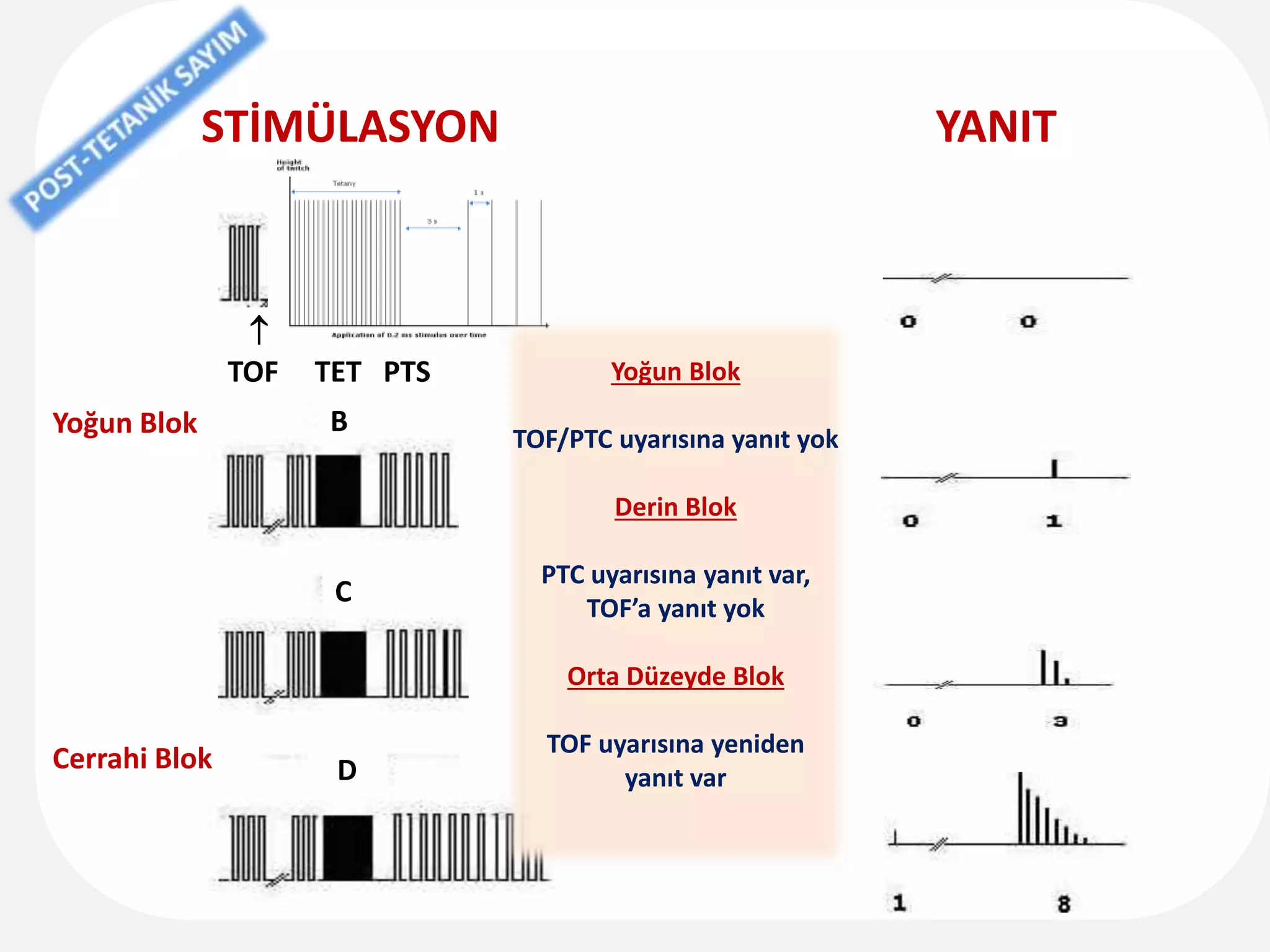 STİMÜLASYON YANIT
Yoğun Blok
Cerrahi Blok
  
TOF TET PTS
A
B
C
D
Yoğun Blok
TOF/PTC uyarısına yanıt yok
Derin Blok
PTC uyarısına yanıt var,
TOF’a yanıt yok
Orta Düzeyde Blok
TOF uyarısına yeniden
yanıt var
 