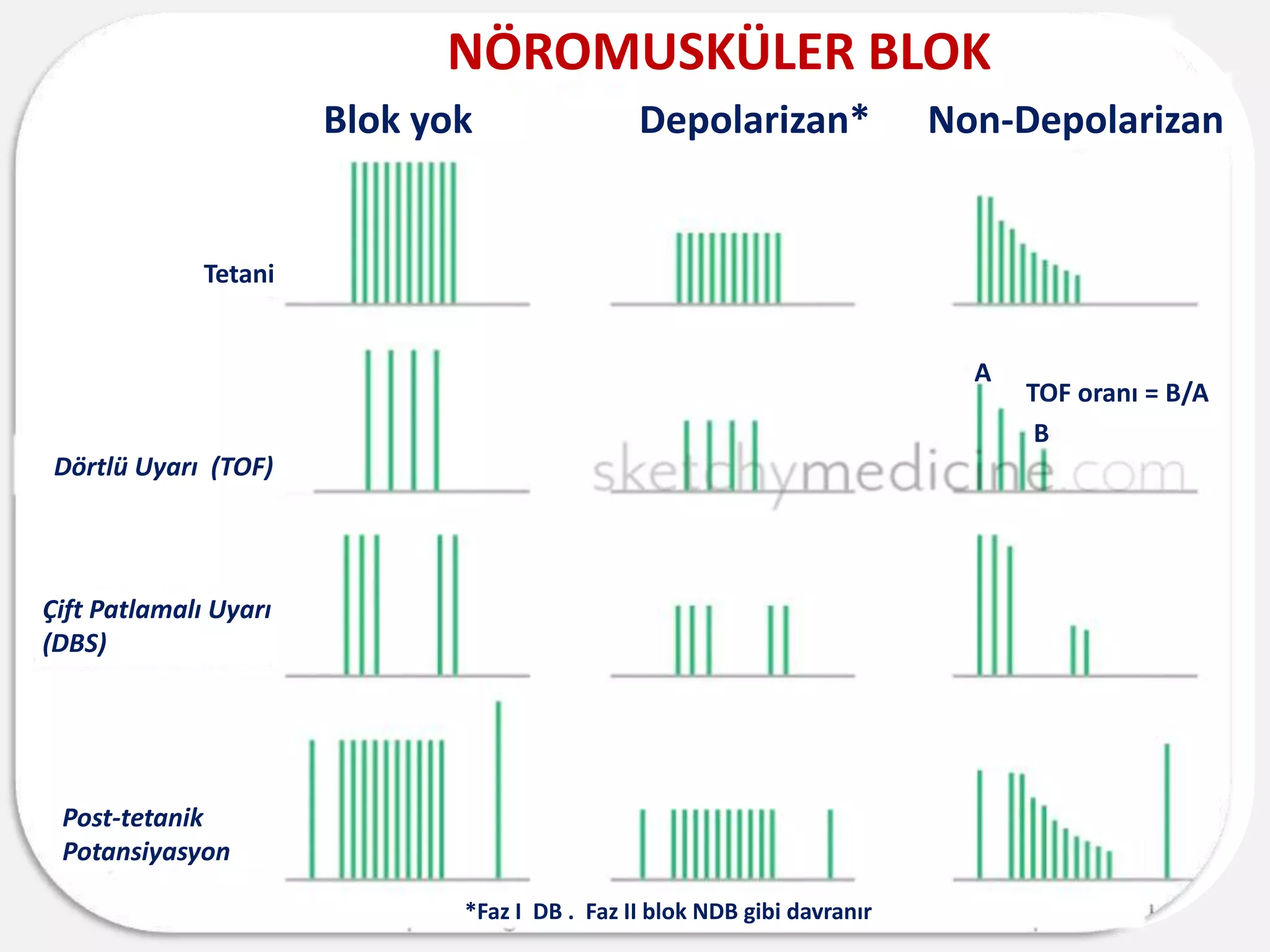 Blok yok Depolarizan* Non-Depolarizan
Tetani
Dörtlü Uyarı (TOF)
Çift Patlamalı Uyarı
(DBS)
Post-tetanik
Potansiyasyon
NÖROMUSKÜLER BLOK
*Faz I DB . Faz II blok NDB gibi davranır
TOF oranı = B/A
A
B
 