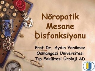 Nöropatik
Mesane
Disfonksiyonu
Prof.Dr. Aydın Yenilmez
Osmangazi Üniversitesi
Tıp Fakültesi Üroloji AD

 