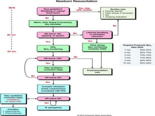 Neonatal Resuscitation Program | PPTX