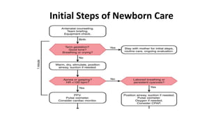 Initial Steps of Newborn Care
 