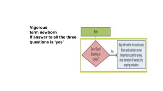 Vigorous
term newborn
If answer to all the three
questions is ‘yes’
 