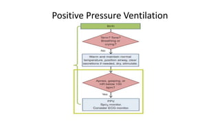 Positive Pressure Ventilation
 