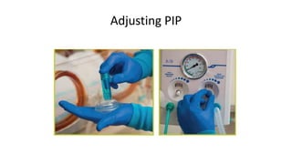 Adjusting PIP
 