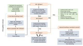 • Continue skin to skin care
• Ensure open airway
• Cover baby and mother together
• Clamp & cut cord after one
minute
• Initiate breast feeding
• Continue ongoing evaluation
PPV
Pulse oximeter
HR< 100 bpm?
If chest not rising take
ventilation corrective steps
Ensure adequate ventilation
Consider intubation
Apnea or grasping? HR< 100 bpm?
Endotracheal intubation
Coordinated CC with PPV
100% oxygen, Prepare UVC
IV adrenaline every 3-5 min
If HR remains below 60bpm
• Consider hypovolemia
• Consider pneumothorax
Perinatal risk assessment
Umbilical cord management
Team briefing
Hand washing
Equipment check
Warm, dry, stimulate,
position airway, suction if
needed.
Is the baby breathing/crying?
Labored breathing or persistent cyanosis?
Position airway
Pulse oximeter
Oxygen if needed; Consider CPAP
Observational care
babies receiving initial steps/ brief ventilation)
Post resuscitation care
Team debriefing
NO
NO
HR< 60 bpm?
HR< 60 bpm?
First
golden
minute
YES
YES
NO
YES
 