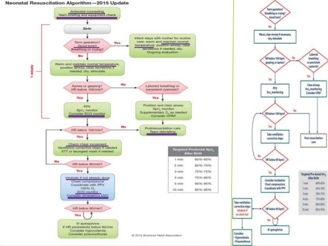 Neonatal Resuscitation Chart