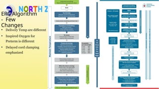 Rpr Algorithm Infant Neonatal R P Guidelines 2024 updated 28July2024.pptx