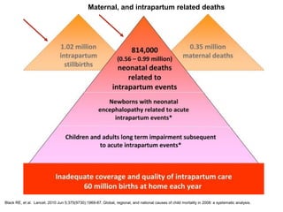 Black RE, et al. Lancet. 2010 Jun 5;375(9730):1969-87. Global, regional, and national causes of child mortality in 2008: a systematic analysis.
Maternal, and intrapartum related deaths
 