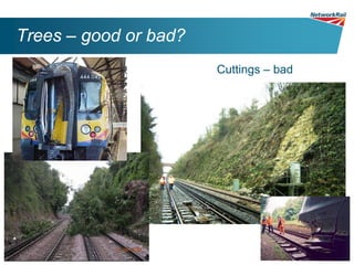 Trees – good or bad?
                       Cuttings – bad
 