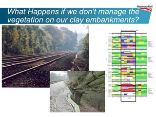 What Happens if we don’t manage the
vegetation on our clay embankments?
 