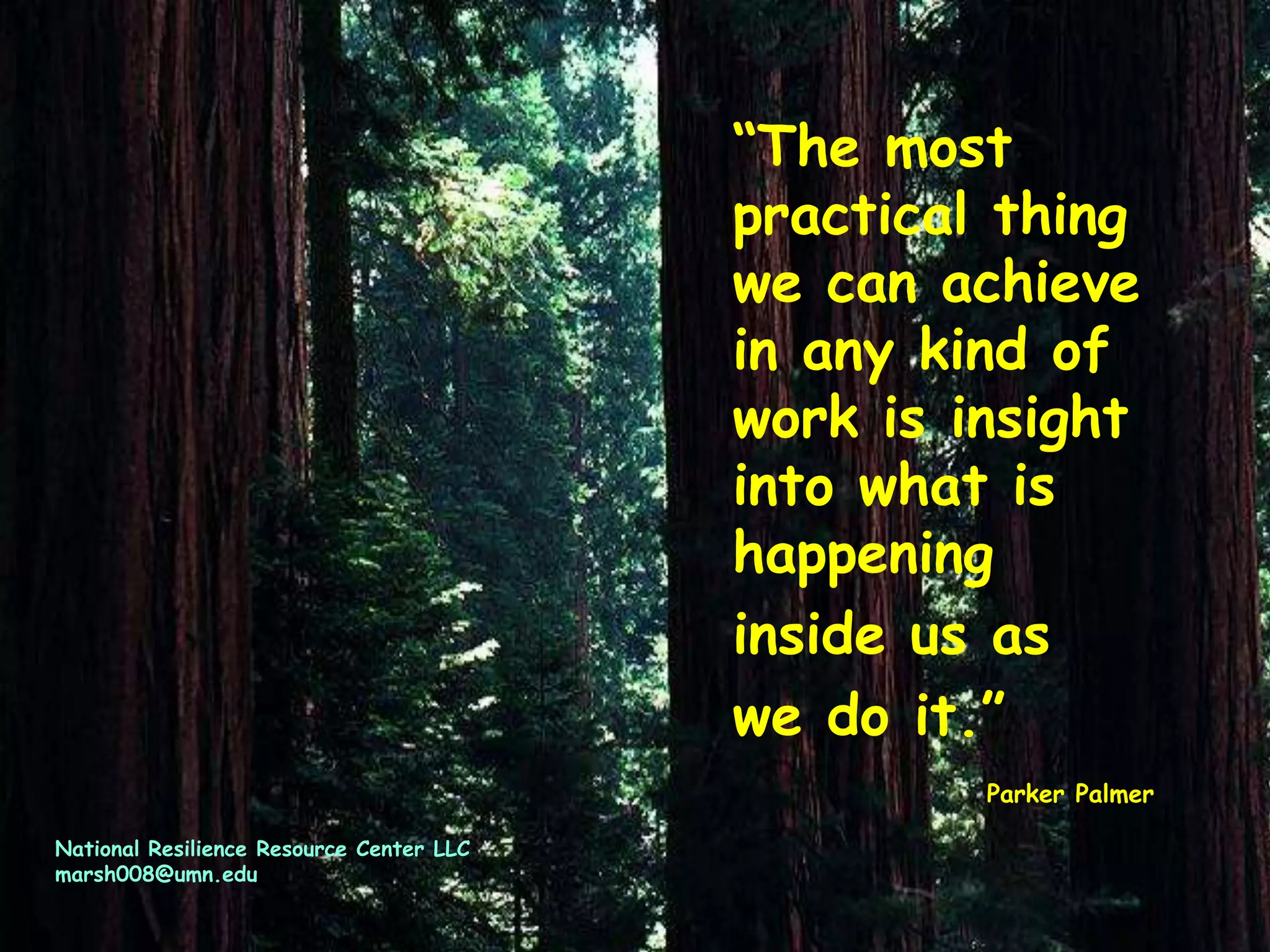 “The most
practical thing
we can achieve
in any kind of
work is insight
into what is
happening
inside us as
we do it.”
Parker Palmer
National Resilience Resource Center LLC
marsh008@umn.edu
 