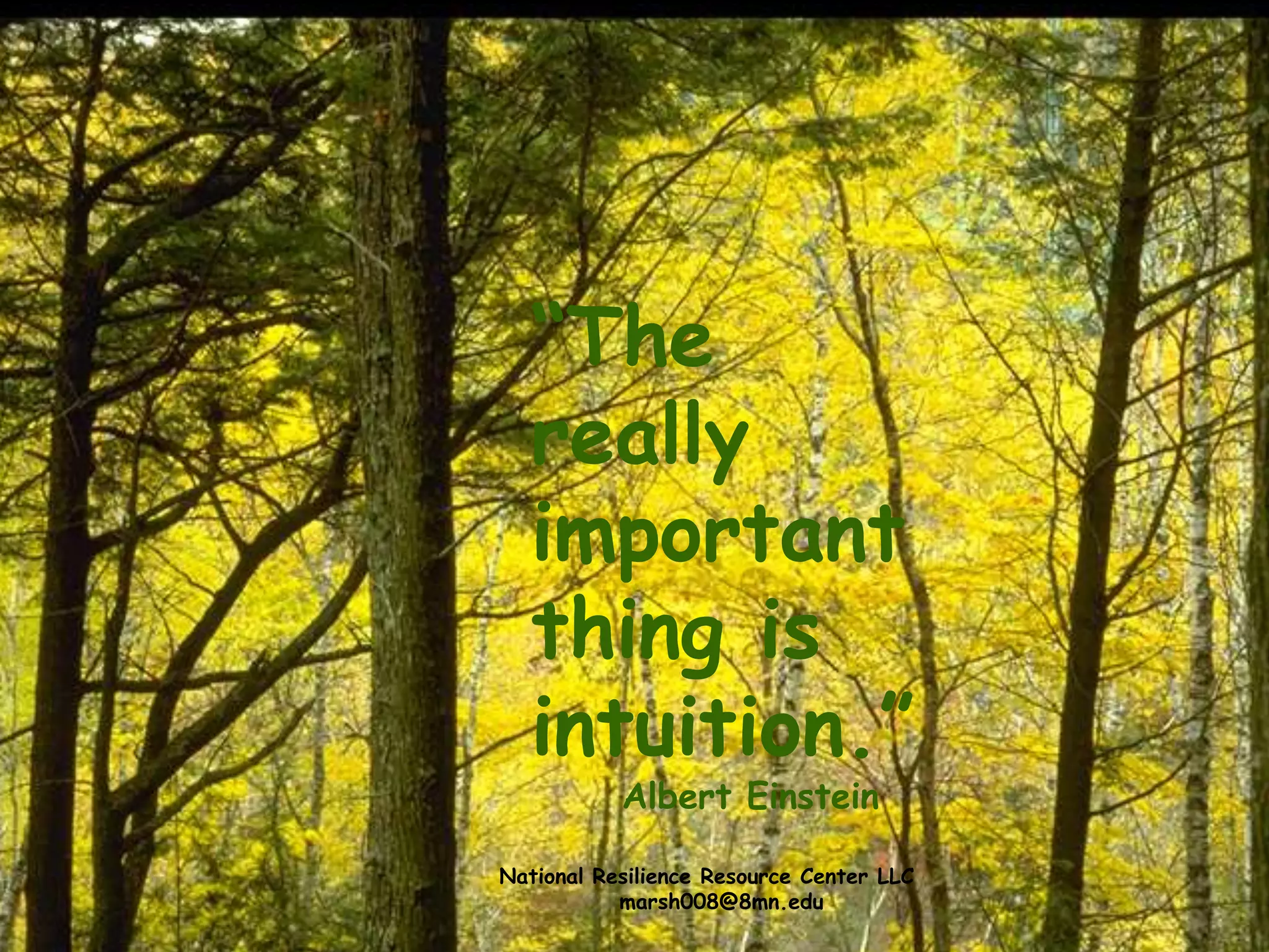 “The
really
important
thing is
intuition.”
Albert Einstein
National Resilience Resource Center LLC
marsh008@8mn.edu
 
