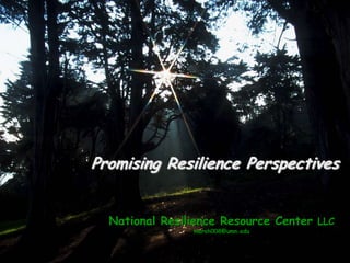 National Resilience Resource Center LLC
marsh008@umn.edu
Promising Resilience Perspectives
 