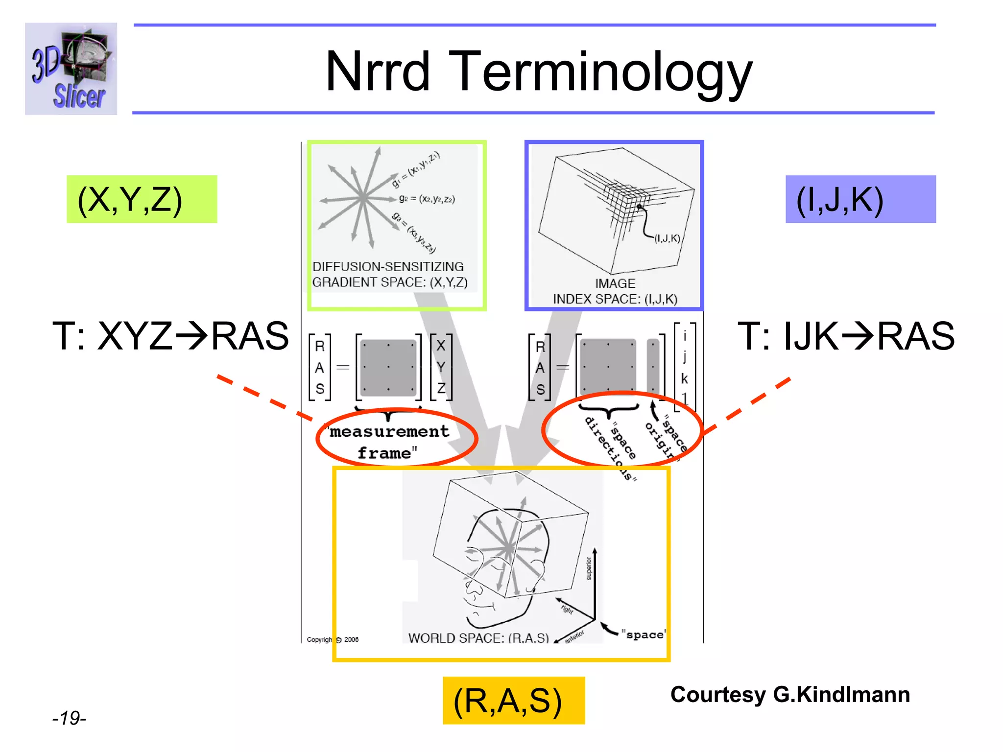 Nrrd Terminology T: XYZ  RAS (X,Y,Z) (I,J,K) (R,A,S) T: IJK  RAS Courtesy G.Kindlmann 