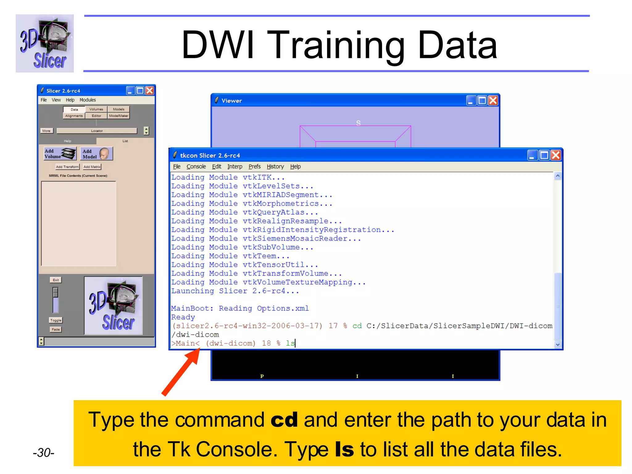 DWI Training Data Type the command  cd  and enter the path to your data in the Tk Console. Type  ls  to list all the data files. 
