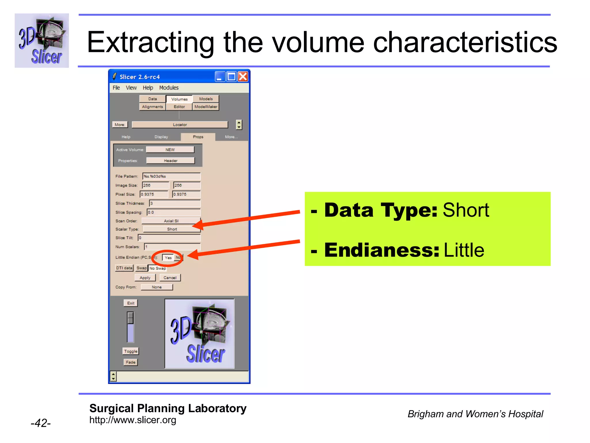 Extracting the volume characteristics - Data Type:  Short - Endianess:  Little 