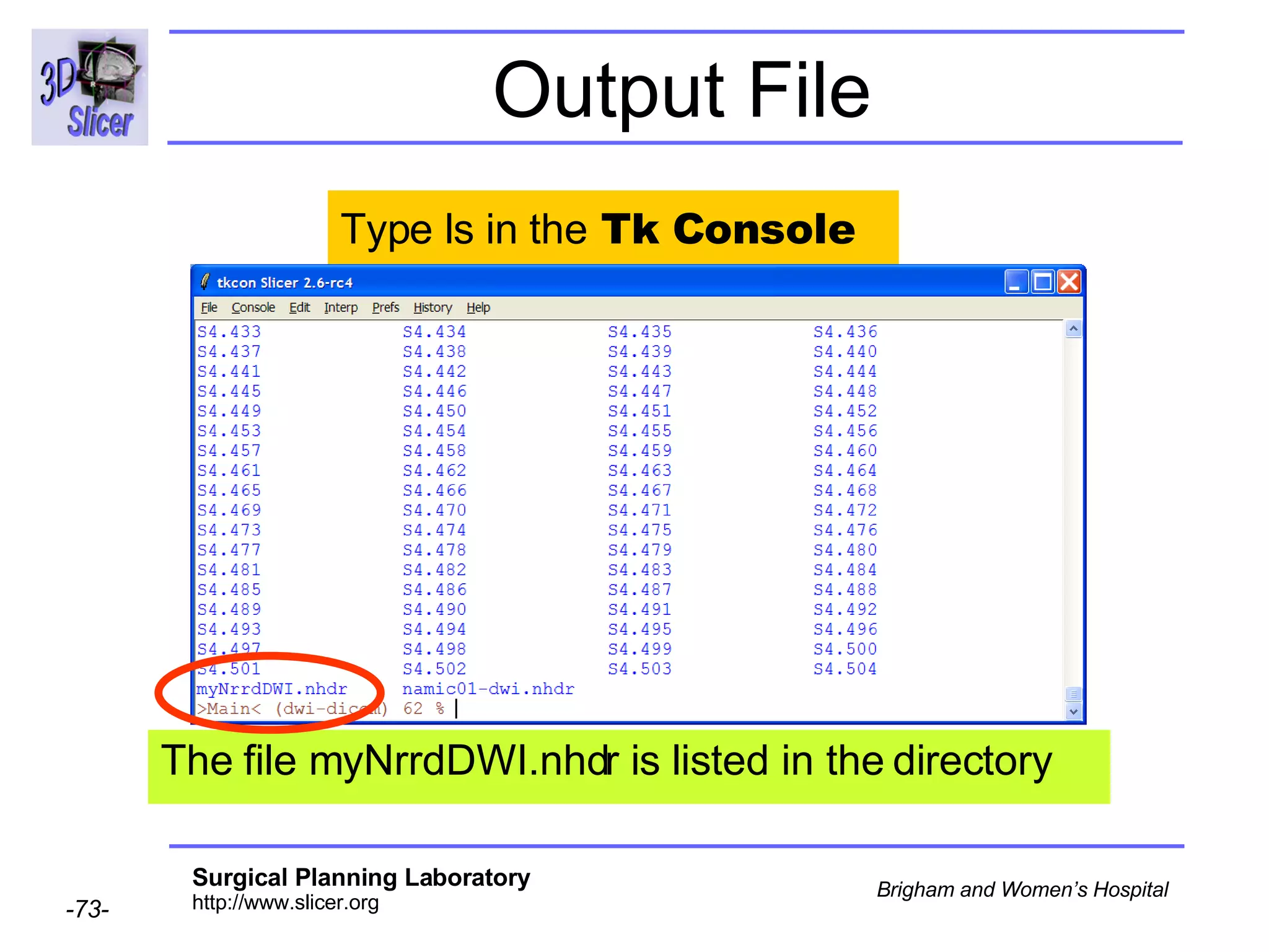 Output File Type ls in the  Tk Console The file myNrrdDWI.nhdr is listed in the directory 