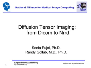 Diffusion Tensor Imaging:  from Dicom to Nrrd Sonia Pujol, Ph.D. Randy Gollub, M.D., Ph.D. National Alliance for Medical Image Computing 