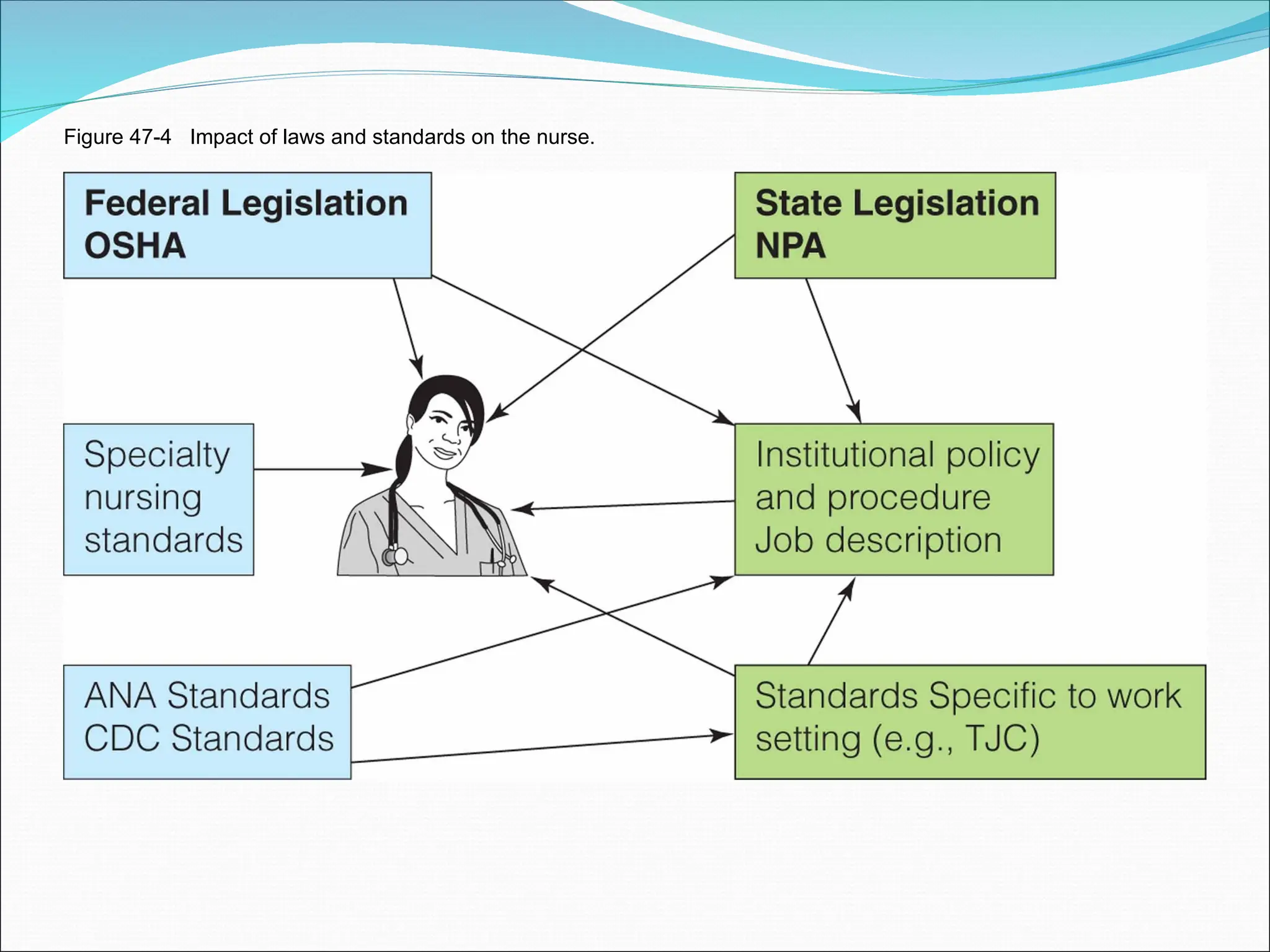 Figure 47-4 Impact of laws and standards on the nurse.
 