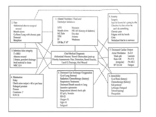 Lecture1 Care Plan Workshop nursing .ppt