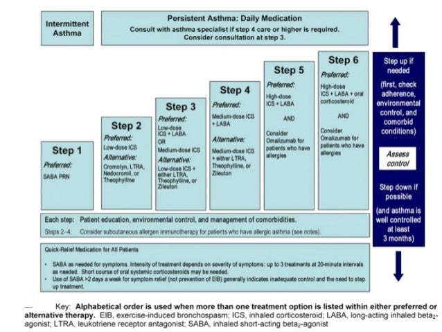 NRSG351 Respiratory Agents in Asthma, COPD, Cough, Cold 