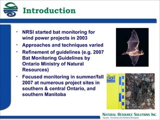 Results of Bat Monitoring 29 Wind Farm Sites in Ontario and Manitoba | PPT