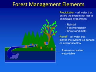 Forest Management ElementsPrecipitation – all water thatenters the system not lost toimmediate evaporation- Rainfall