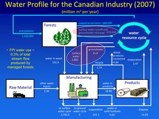 Forest and Forest Management