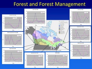 P&P and WP Manufacturing