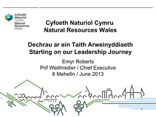 Cyfoeth Naturiol Cymru
Natural Resources Wales
Dechrau ar ein Taith Arweinyddiaeth
Starting on our Leadership Journey
Emyr Roberts
Prif Weithredwr / Chief Executive
6 Mehefin / June 2013
1
 