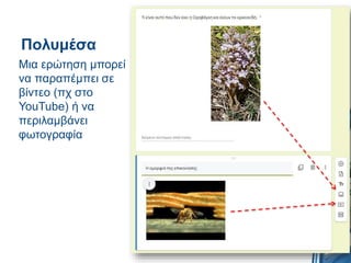 Πολυμέσα
Μια ερώτηση μπορεί
να παραπέμπει σε
βίντεο (πχ στο
YouTube) ή να
περιλαμβάνει
φωτογραφία
 